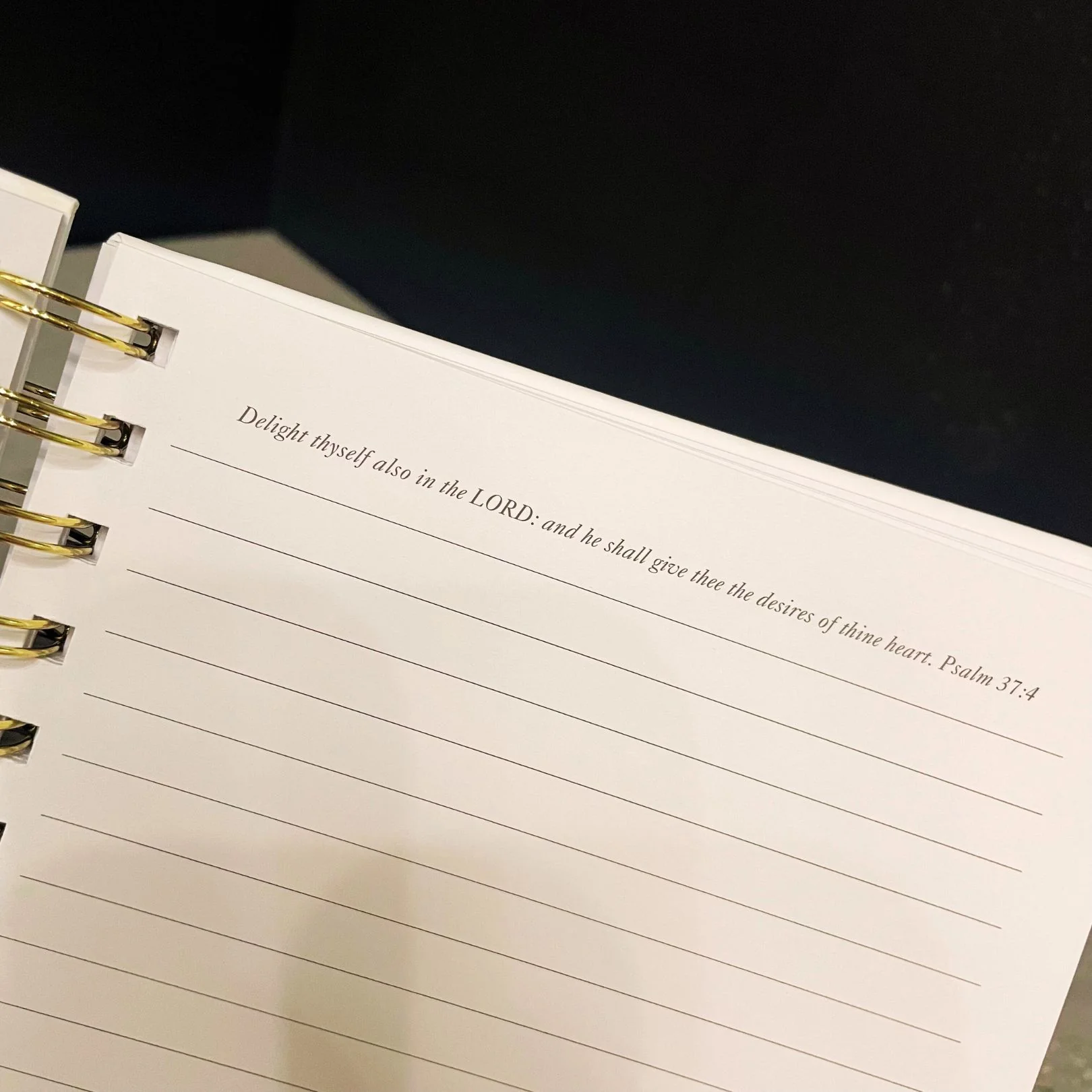 Crowned in Curls Wired Journal - Image 5